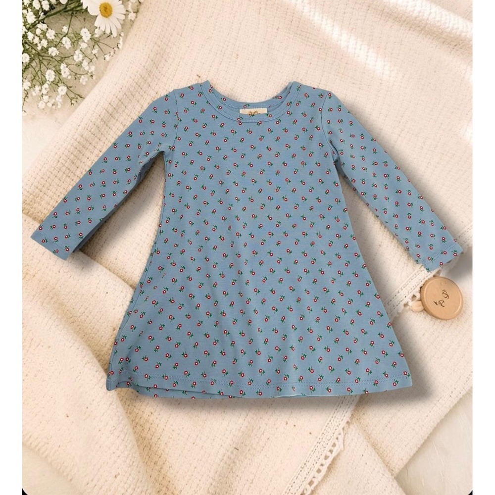 Burt's Bees Baby Floral Ribbed Knit Long Sleeve A-Line Dress Blue Size 12M